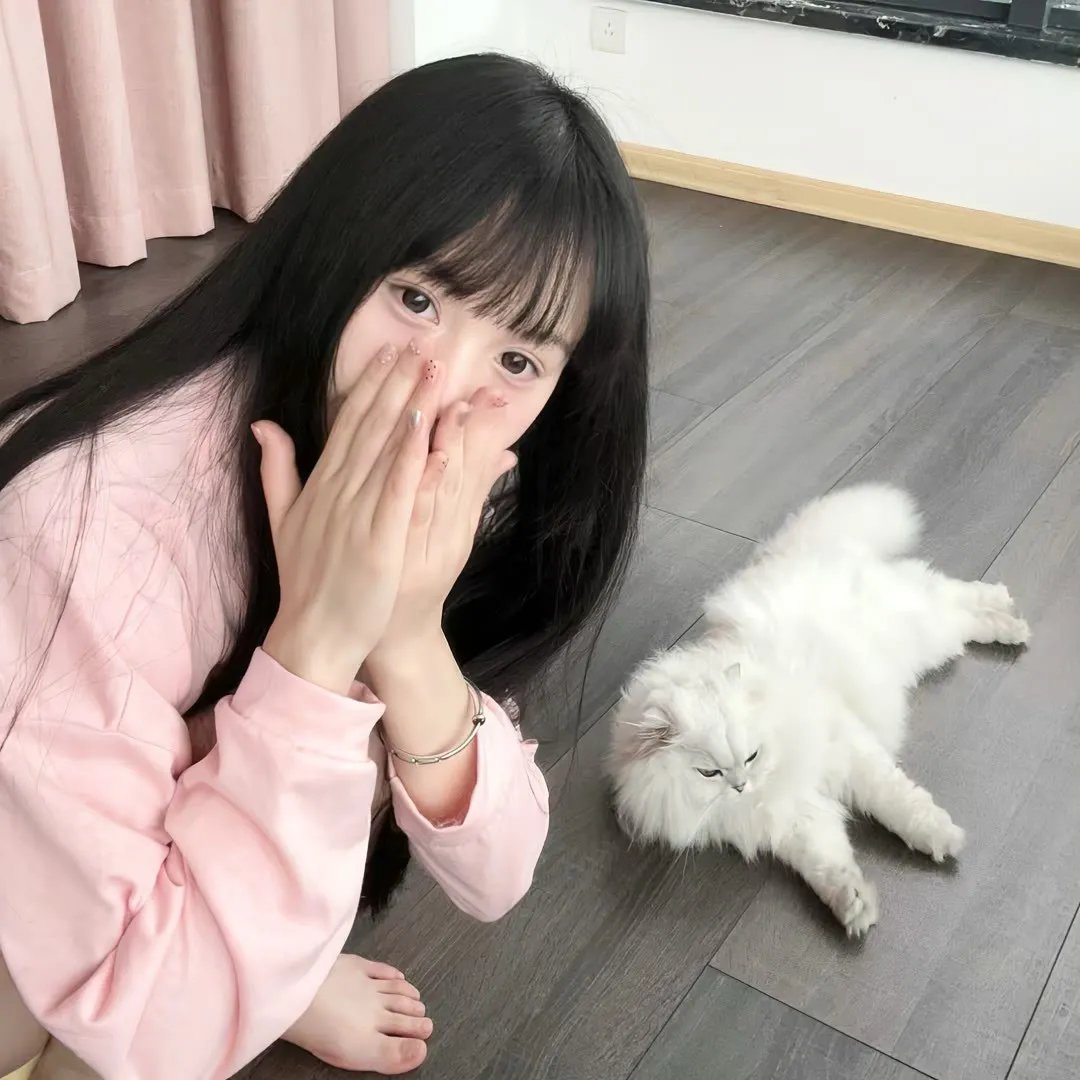 精灵宝可梦：比克提尼与黑之英雄捷克罗姆